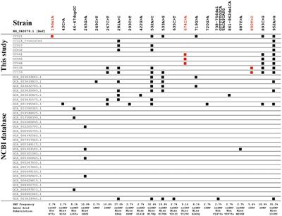 Circular intermediate-mediated horizontal transfer of the chromosome-encoded cfr(C) gene in multi-drug resistant Campylobacter coli from swine sources